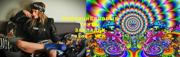 мяу мяу мука Верея