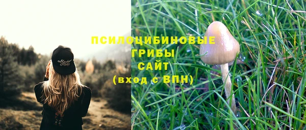 СК Бугульма