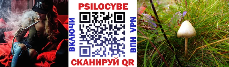 цена наркотик  ссылка на мегу ссылка  Галлюциногенные грибы GOLDEN TEACHER  Ахтырский 